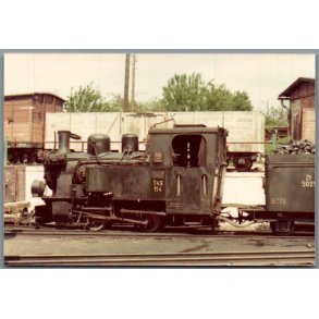 Tog - PKP  T49 114 - Bialosoliwie - Polen - Foto