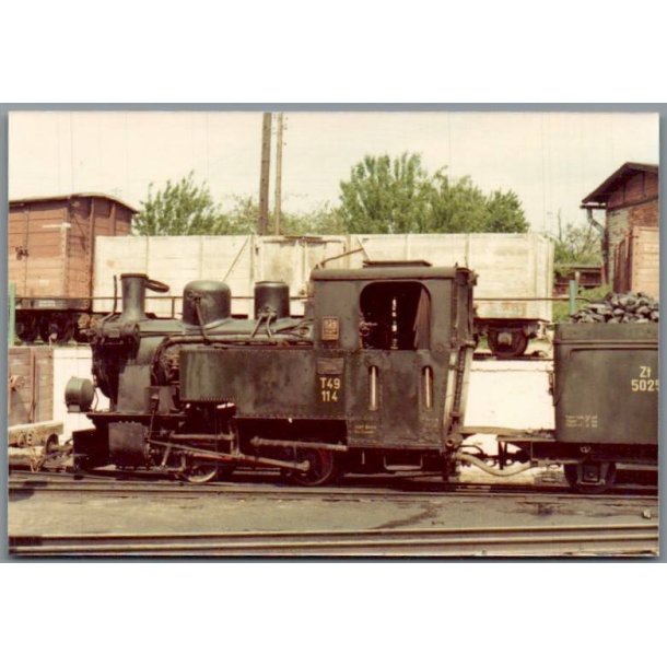 Tog - PKP  T49 114 - Bialosoliwie - Polen - Foto
