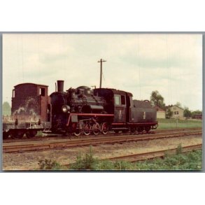 Tog - PKP  Px48 1765 - Przystroni - Polen - Foto