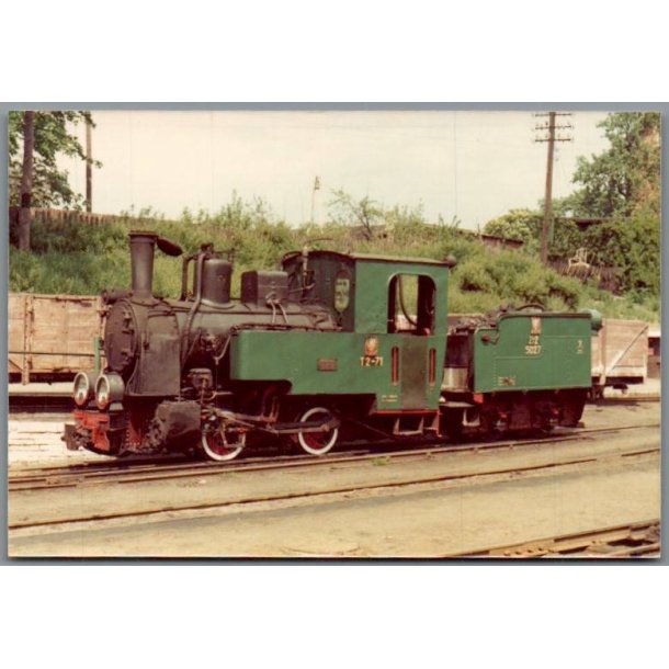 Tog - PKP  T2 - 71 - Bialosoliwie - Polen - Foto