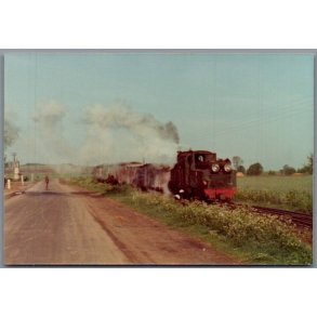 Tog - PKP  Px38 805 - Czjacze - Polen - Foto