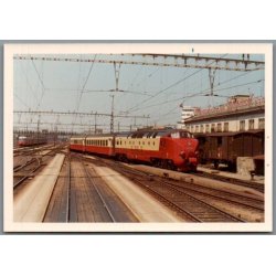 Tog - Zrich - Schweitz  - Foto