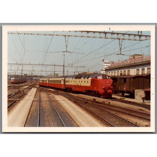 Tog - Zrich - Schweitz  - Foto