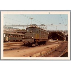 Tog - Zrich - Schweitz  - Foto