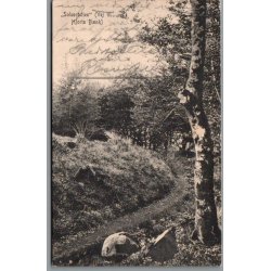 "Solsortstien" (Vej til Hjorts B�nk) - Hansen 1084 - Brugt