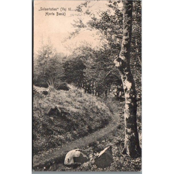 "Solsortstien" (Vej til Hjorts B�nk) - Hansen 1084 - Ubrugt - Limrest !