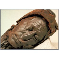 Tollundmanden - Silkeborg - Museet - Postkort - Ubrugt - N�lehul !