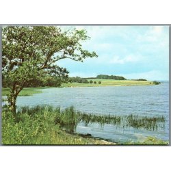 Parti fra Moss� - Postkort - Ubrugt