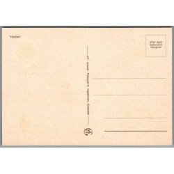 Silkeborg - Hjejlen - Postkort - Ubrugt