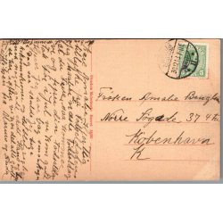 Kaffeselskab i det Grnne - Dyrehaven - Brugt