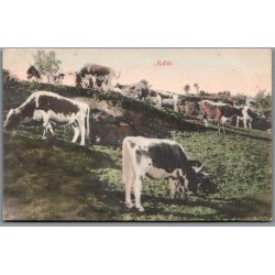 Kuflok - Norge - Ubrugt