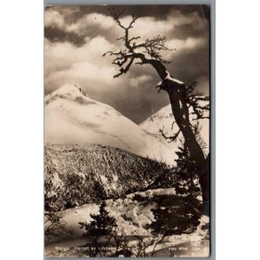 Herjet av vinden- Norge - Brugt