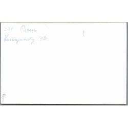 Dronning Beatrix - Foto u/n - Ubrugt
