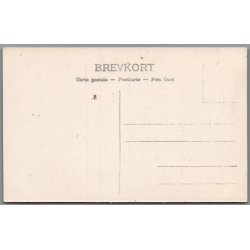 Balestrand Sogn -  Norge - Ubrugt