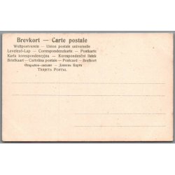 Bispen - Kongen og Dronningen -  Norge - Ubrugt