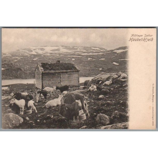 Midtl�ger S�ther - Haukelidfjeld - Norge - Ubrugt