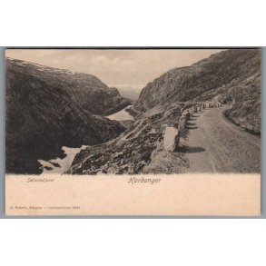 Seljestadjuvet - Hardanger  - Norge - Ubrugt