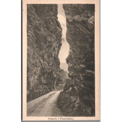 Vejparti i Flaamsdalen - Norge - Ubrugt