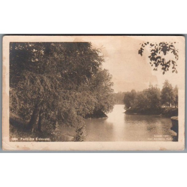 Parti fra Eidsvold  - Norge - Ubrugt