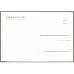 Sporvogn Reginakrydset Aarhus - Ubrugt