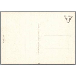 Motorcykel - Danica 1901 - Ubrugt