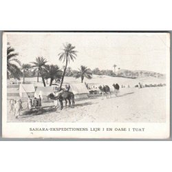 Sahara Ekspeditionens Lejr i en Oase i Tuat - Missioner  - Brugt