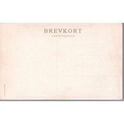 Sahara Ekspeditionens  Leder Profesor Olufsen uden for sit Telt - Missioner  - Ubrugt