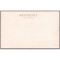 Sahara Ekspeditionens Tuareger Sjusi i skydestilling - Missioner  - Ubrugt