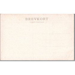 Sahara Ekspeditionen under et ophold i oasen i In Salah - Missioner  - Ubrugt