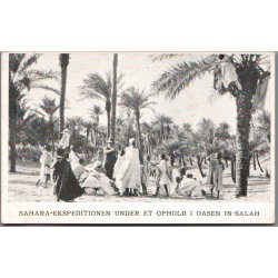 Sahara Ekspeditionen under et ophold i oasen i In Salah - Missioner  - Ubrugt
