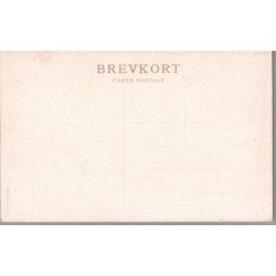 Sahara Ekspeditionens Lejr i en Oase i Tuat - Missioner  - Ubrugt