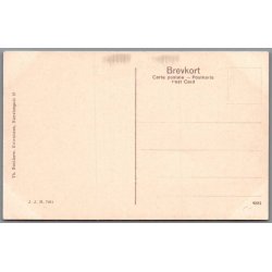 Teltmissionen - Hund Khanen - Pathandrenge - Pakistan - Ubrugt