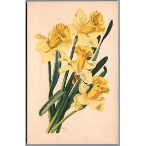 Illa - Eneret Serie 51 - Postkort - Ubrugt