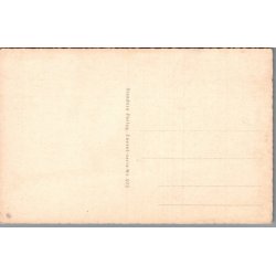 Illa - Godt Nytaar - Eneret Serie 973 - Postkort - Ubrugt