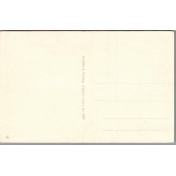 Illa - Gldeligt Nytaar - Eneret Serie 969 - Postkort - Ubrugt