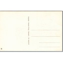 Illa - Gl�deligt Nyt�r - Stender 5109/139 N - Postkort -  Ubrugt