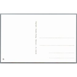 Illa - Stender - Denmark 5109/138 - Postkort - Ubrugt