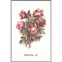 Illa - Gldelig Jul - 151 Doo 262 - Postkort - Ubrugt