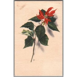 Illa - Stender Eneret -  Serie 695 - Postkort - Brugt