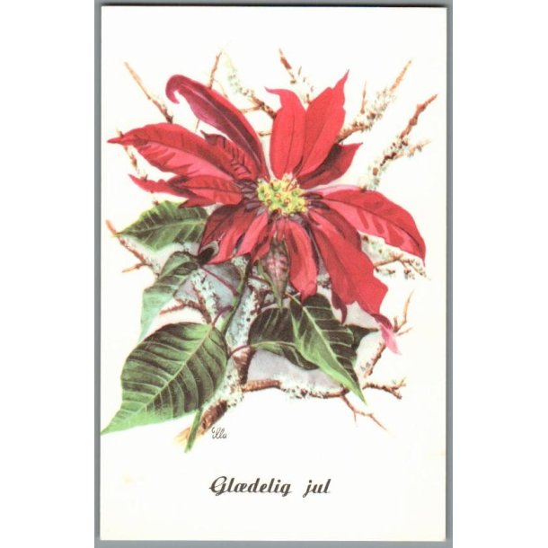 Illa - Gldelig Jul - 151 Doo 262 - Postkort - Ubrugt