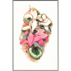 Illa - Stender Eneret -  5109/212 - Postkort - Ubrugt