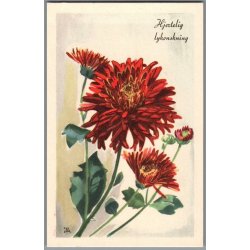 Illa - Hjertelig Lyknskning - Stender Serie 1500 - Ubrugt