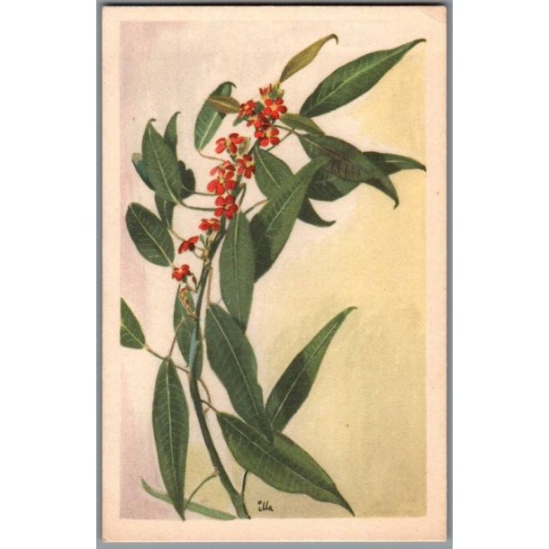 Illa - Stender Serie 1500 - Ubrugt