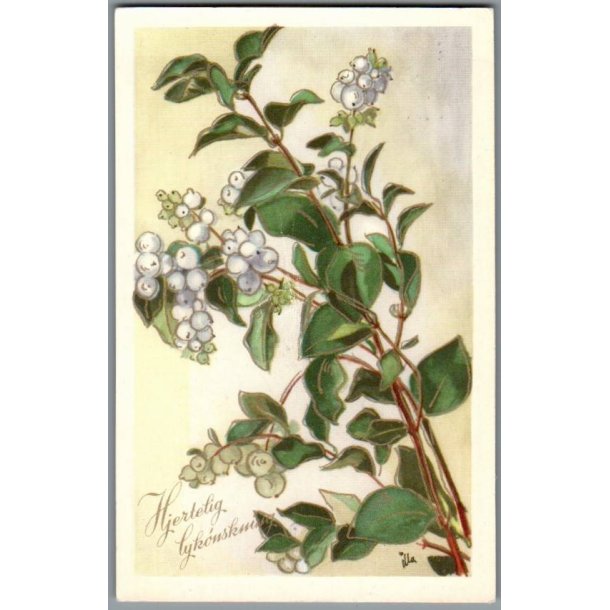 Illa - Hjertelig Lyknskning - Stender Serie 5001 - Brugt - Blank forside !