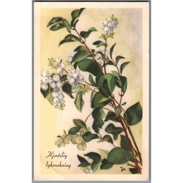 Illa - Hjertelig Lyknskning - Stender Serie 1500 - Brugt