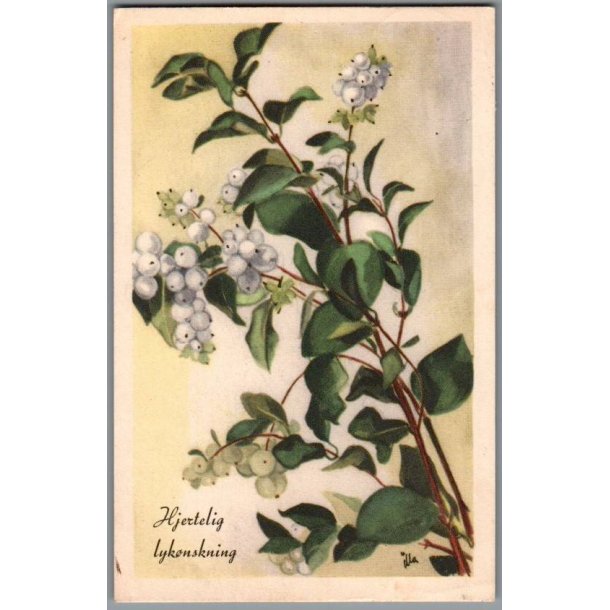 Illa - Hjertelig Lyknskning - Stender Serie 1500 - Brugt