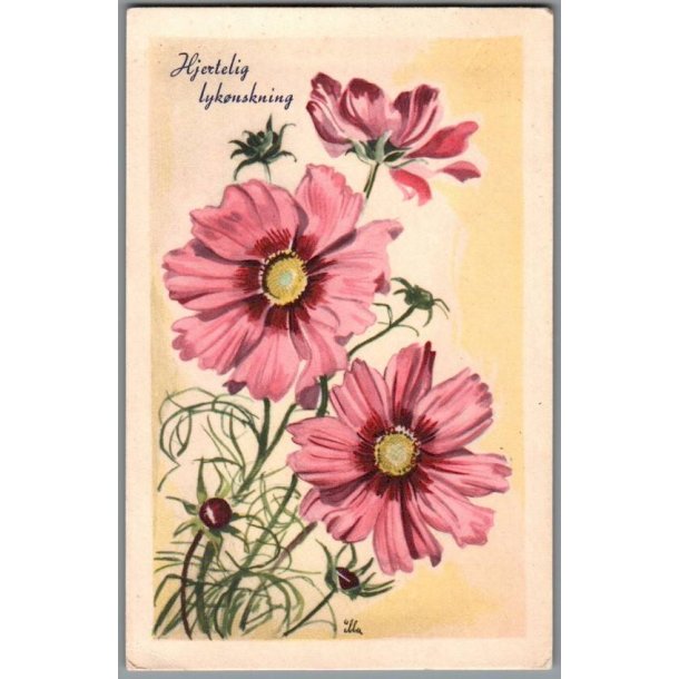 Illa - Hjertelig Lyknskning - Stender Serie 1500 - Brugt