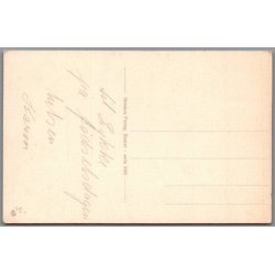 Illa - Hjertelig Lyknskning - Stender Serie 5003 - Ubrugt - Blank forside !