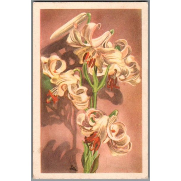 Illa - Stender Serie 1500 - Brugt