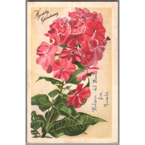 Illa - Hjertelig Lyknskning - Stender Serie 1400 - Brugt